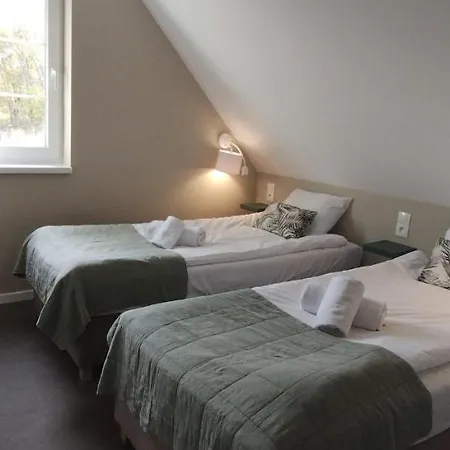 Róża Sudetów * Duszniki Zdrój