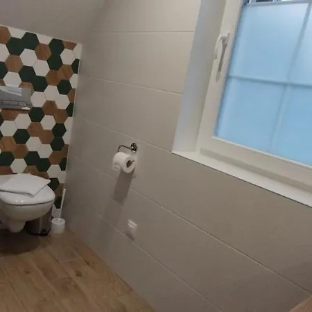 Róża Sudetów Duszniki Zdrój