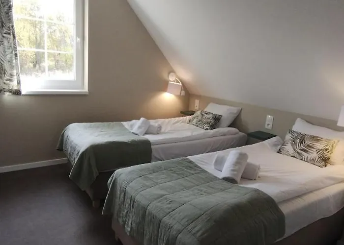 Róża Sudetów * Duszniki Zdrój